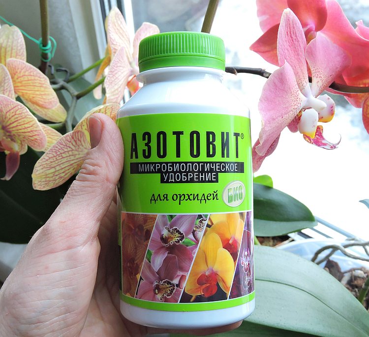 Удобрение для орхидей Азотовит 